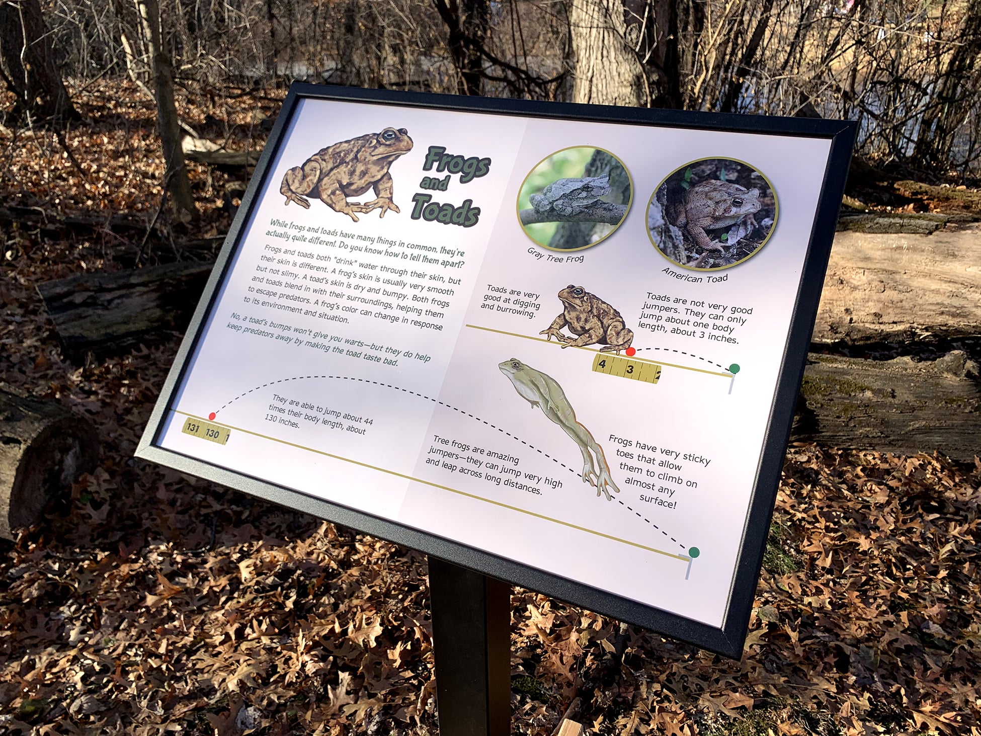 Family-Friendly Birding Trails With Educational Signage  