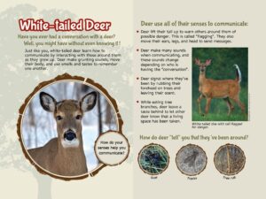 NatureWalk Interpretive Signs – Vacker Sign