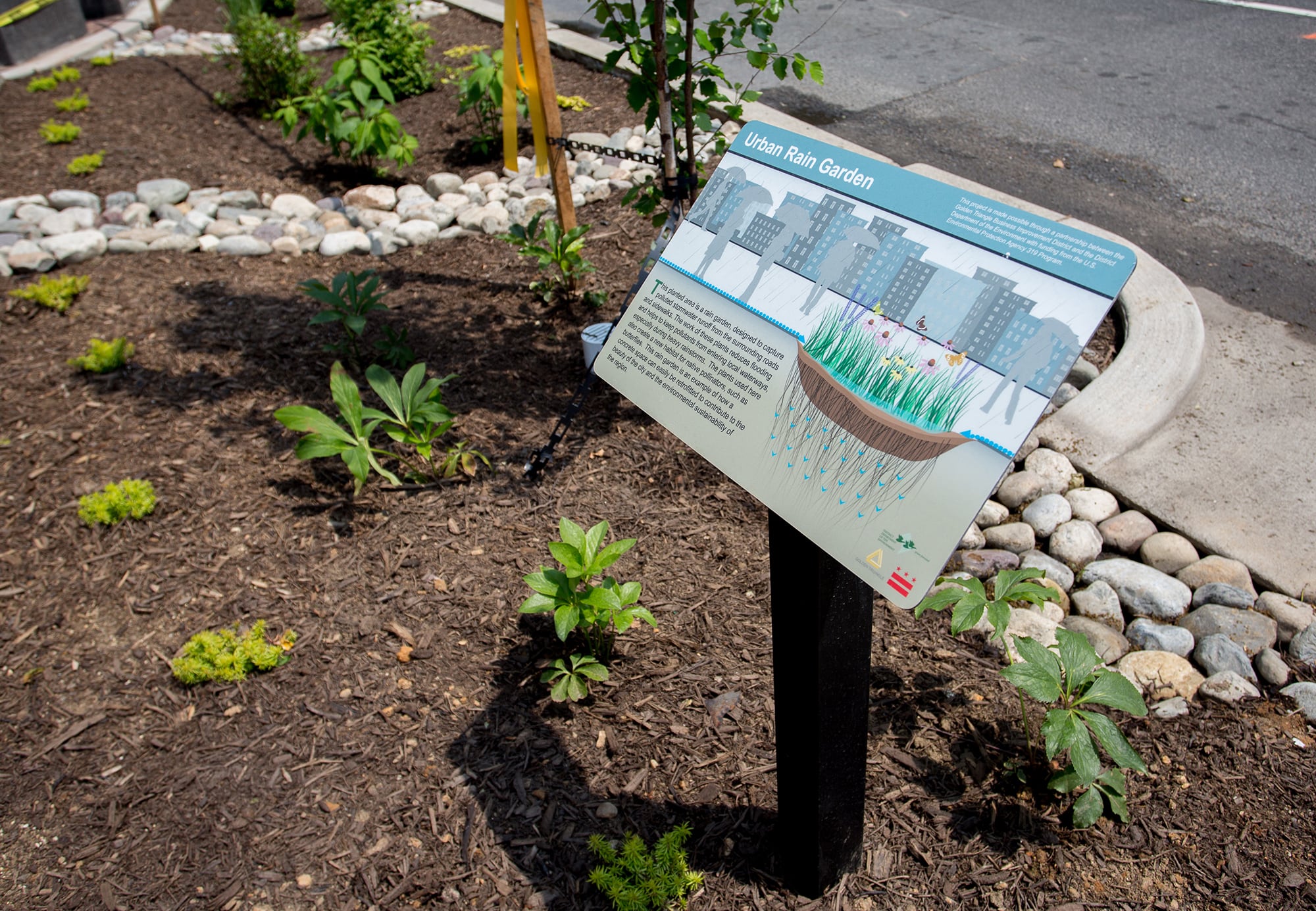 Rain Garden sign